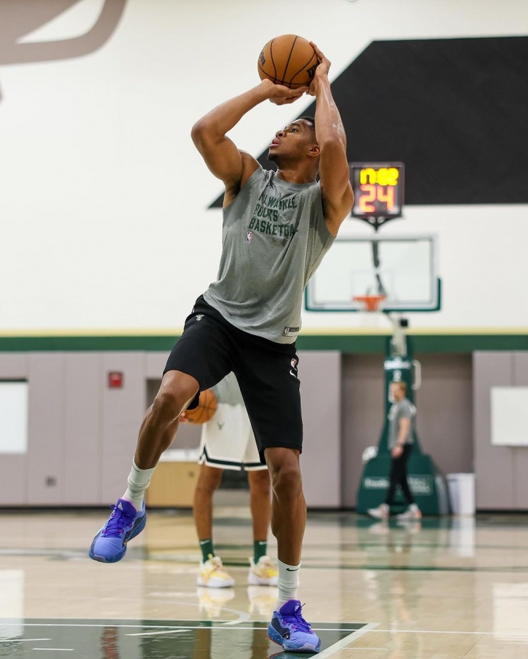 字母哥迎来七赛季高光表现，法国队球迷沸腾！的简单介绍